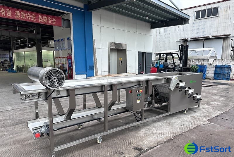 blueberry grader machines.jpg blueberry grader machines.jpg